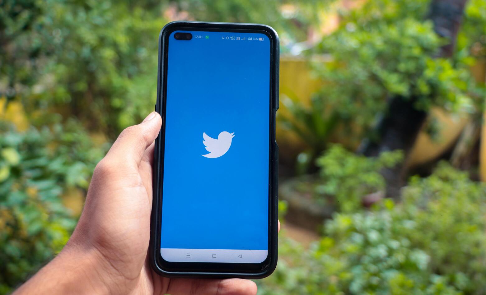 twitter-logo-on-phone.jpg