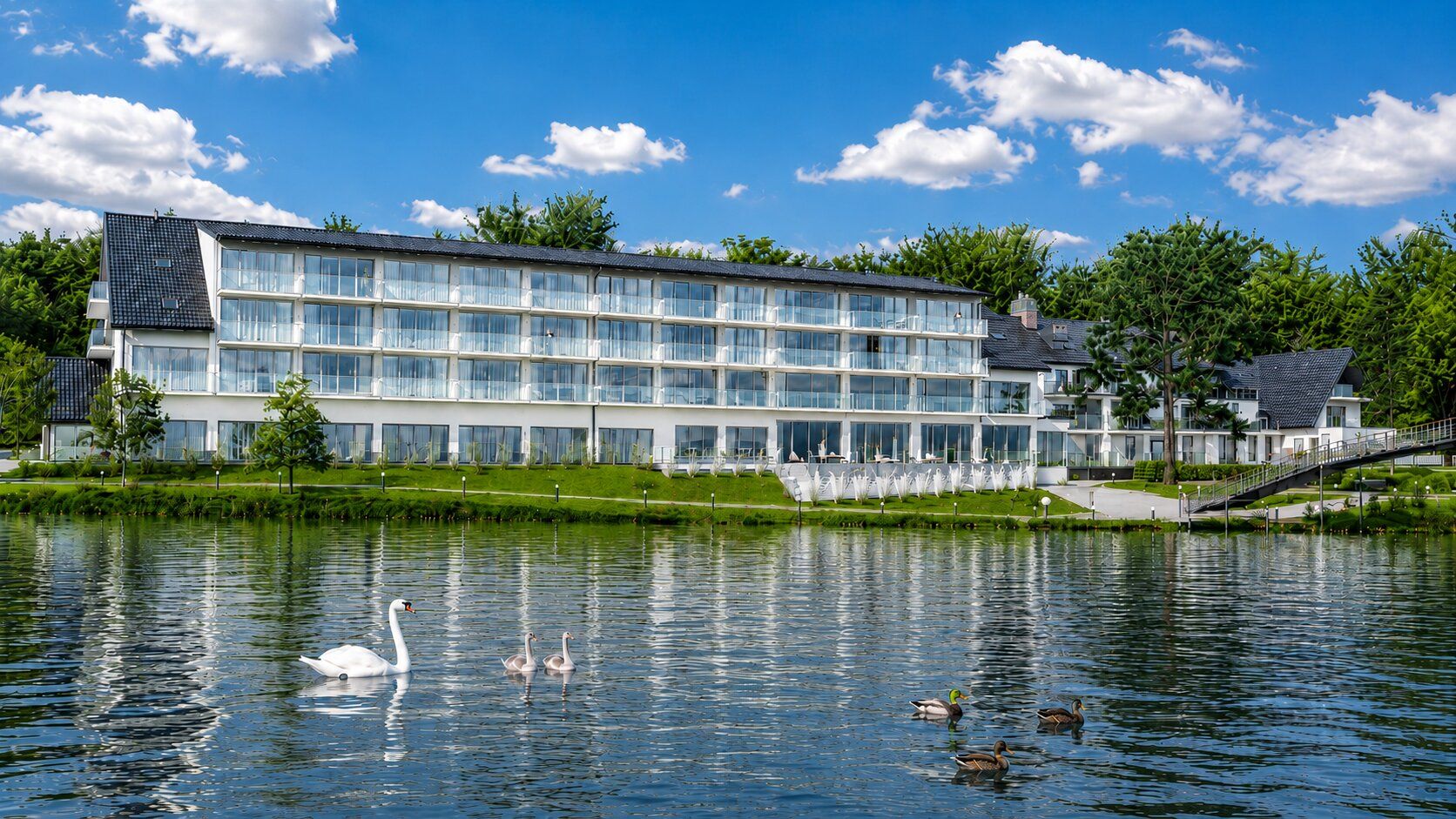 3D-Visualisierung von Hotels am Wasser: See, Ufer, Enten, Schwäne